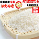 米 お米 はえぬき 450g 3合 令和6年産 山形県産 お米 白米 無洗米 分づき 玄米 お好み精米 送料無料 当日精米 お試し ポイント消化 真空パック メ...