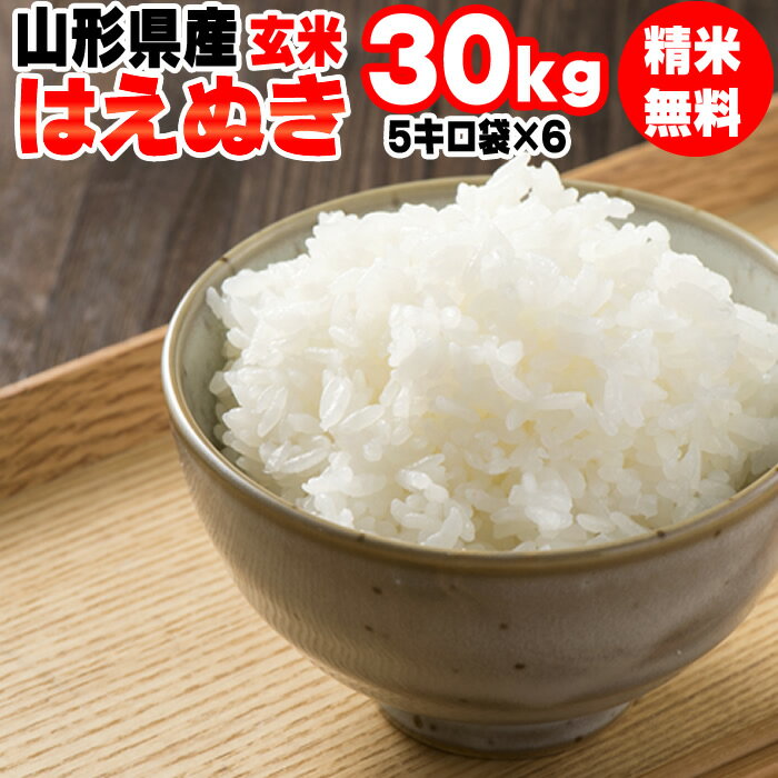 米 玄米 30kg はえぬき 5kg×6袋 令和5年産 山形県産 精米無料 白米 無洗米 分づき 当日精米 送料無料