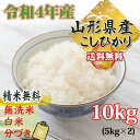 米 玄米 10kg コシヒカリ 5kg×2袋 令和3年産 山形県産 精米無料 白米 無洗米 分づき 当日精米 送料無料 2