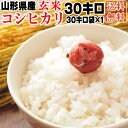 【新米】【当日精米】 【送料無料】令和元年度産　山形県産コシヒカリ　玄米　30kg(30kg袋×1)【白米・無洗米・分づき】