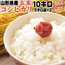 【当日精米】 【送料無料】令和元年度産 山形県産コシヒカリ 玄米 10kg(5kg袋×2)【白米・無洗米・分づき】