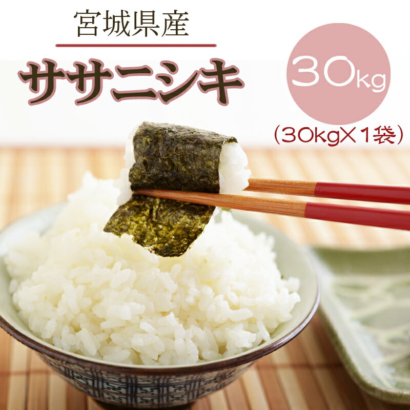 米 玄米 30kg ササニシキ 30kg×1袋 令和5年産 宮城県産 精米無料 白米 無洗米 分づき 当日精米 送料無料のサムネイル