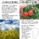 米 玄米 10kg 雪若丸 5kg×2袋 令和5年産 山形県産 精米無料 白米 無洗米 分づき 当日精米 送料無料 3