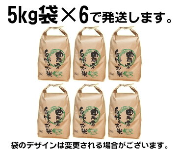 【送料無料】令和元年度産 山形県産 お米はえぬき 玄米 30kg(5kg×6袋)【白米・無洗米・分づき】