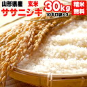 2/9 20時〜 5%off【当日精米】【送料無料】令和元年度産 山形県産ササニシキ 玄米 30kg(10kg×3袋)【白米・無洗米・分づき】