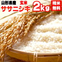 【新米】【当日精米】 【送料無料】令和元年度産　山形県産ササニシキ　玄米　2kg【白米・無洗米・分づき】