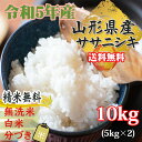 米 玄米 10kg ササニシキ 5kg×2袋 令和5年産 山形県産 精米無料 白米 無洗米 分づき 当日精米 送料無料 2