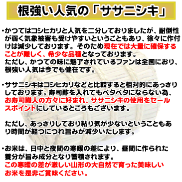 米 お米 ササニシキ 900g 6合 令和元年産 山形県産 お米 白米 無洗米 分づき 玄米 お好み精米 送料無料 当日精米 お試し ポイント消化 真空パック メール便