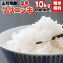 米 玄米 10kg ササニシキ 10kg×1袋 令和5年産 山形県産 精米無料 白米 無洗米 分づき 当日精米 送料無料