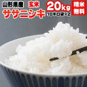 米 玄米 20kg ササニシキ 10kg×2袋 令和5年産 山形県産 精米無料 白米 無洗米 分づき 当日精米 送料無料