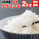 米 玄米 2kg ササニシキ 令和5年産 山形県産 精米無料 白米 無洗米 分づき 当日精米 送料無料