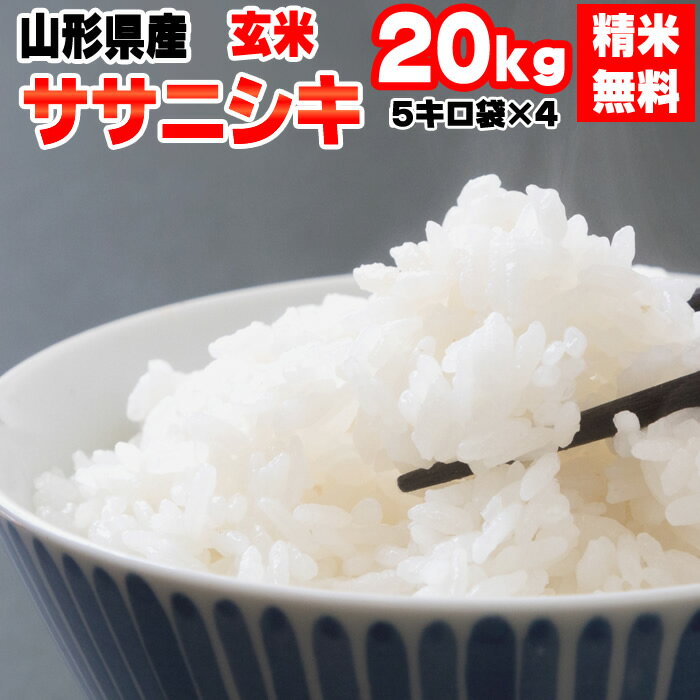 米 玄米 20kg ササニシキ 5kg×4袋 令和5年産 山形県産 精米無料 白米 無洗米 分づき 当日精米 送料無料