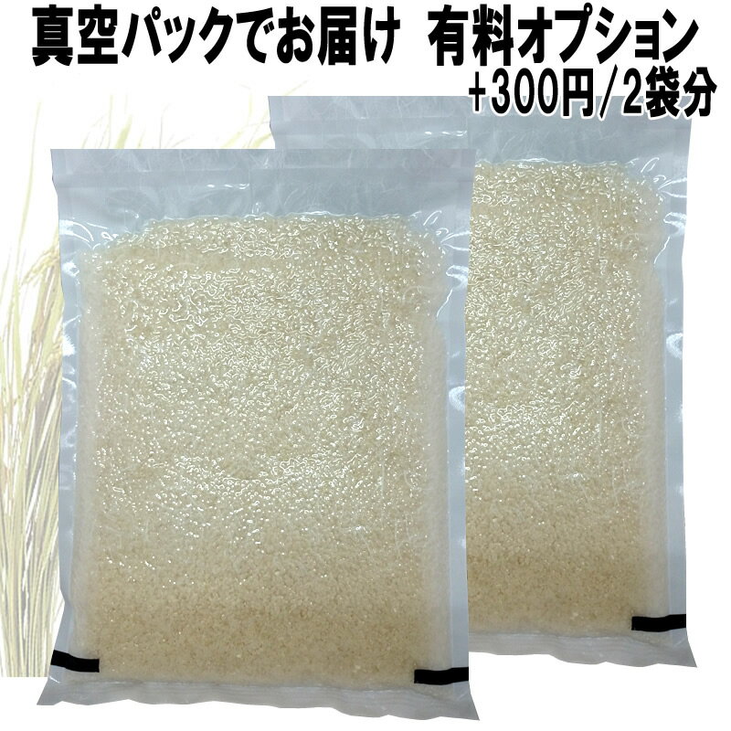 お米と同時購入 5kg×2袋専用　真空