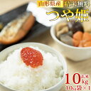 米 玄米 10kg つや姫 10kg×1袋 令和5年産 山形県産 精米無料 白米 無洗米 分づき 当日精米 送料無料