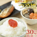 米 玄米 30kg つや姫 30kg×1袋 令和5年産 山形県産 精米無料 白米 無洗米 分づき 当日精米 送料無料 1