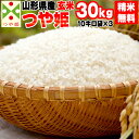 【当日精米】【送料無料】令和元年度産 山形県産 お米つや姫 玄米 30kg(10kg×3袋)【白米・無洗米・分づき】【特別栽培農法】【正規取扱店】