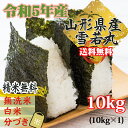 米 玄米 10kg 雪若丸 10kg×1袋 令和5年産 山形県産 精米無料 白米 無洗米 分づき 当日精米 送料無料 2