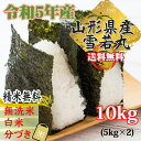 米 玄米 10kg 雪若丸 5kg×2袋 令和5年産 山形県産 精米無料 白米 無洗米 分づき 当日精米 送料無料 2