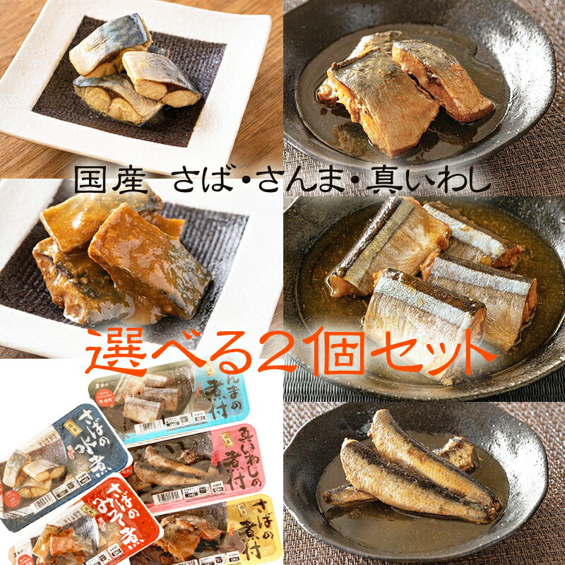 国産 さば いわし [選べる2種 240g（120g×2袋） 鮮冷 BL]保存料・化学調味料不使用 時短商品 送料無料 ..