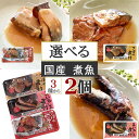 期間限定 ポイント10倍 国産 さば いわし [選べる2種 240g（120g×2袋） 鮮冷 LN]保存料・化学調味料不使用 時短商品 送料無料 メール便 NP