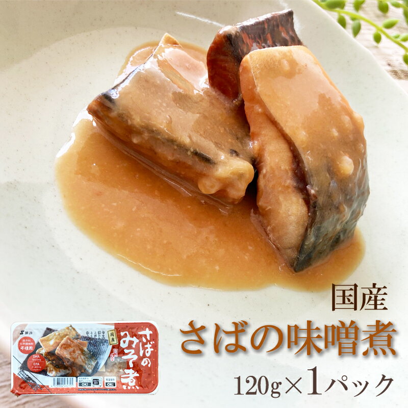  [ФΤߤ 120g(120g1)  BS]¸Ĵ̣Ի û ̵ ᡼ NP ¨