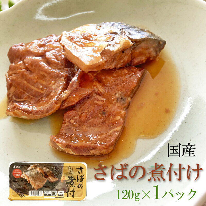 国産 [さばの煮付 120g(120g×1袋) 鮮冷 SN]保存料・化学調味料不使用 時短商品 送料無料 メール便 NP 即送