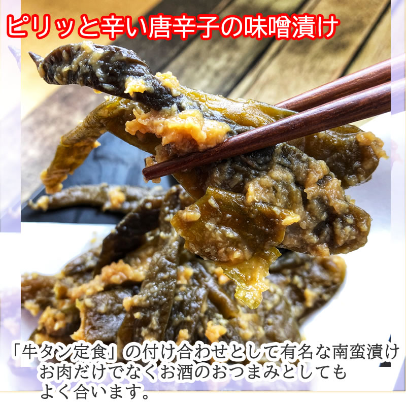 なんばん味噌95g×10袋 山形の漬物 辛い なんばん漬 なんばん味噌 ギフト可 [なんばん味噌95g×10袋] 即送