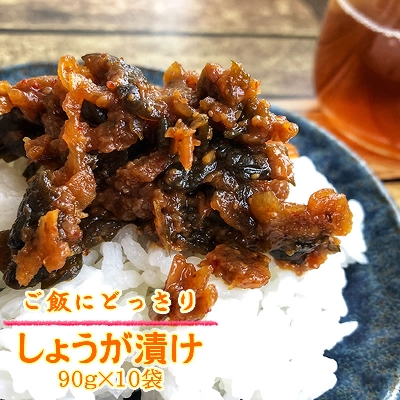 送料無料 ごはんにどっさりしょうが80g×10袋 山形の漬物 ごはんのお供 だいこん きゅうり 味噌漬け ギフト可 [どっさりしょうが×10袋] 即送