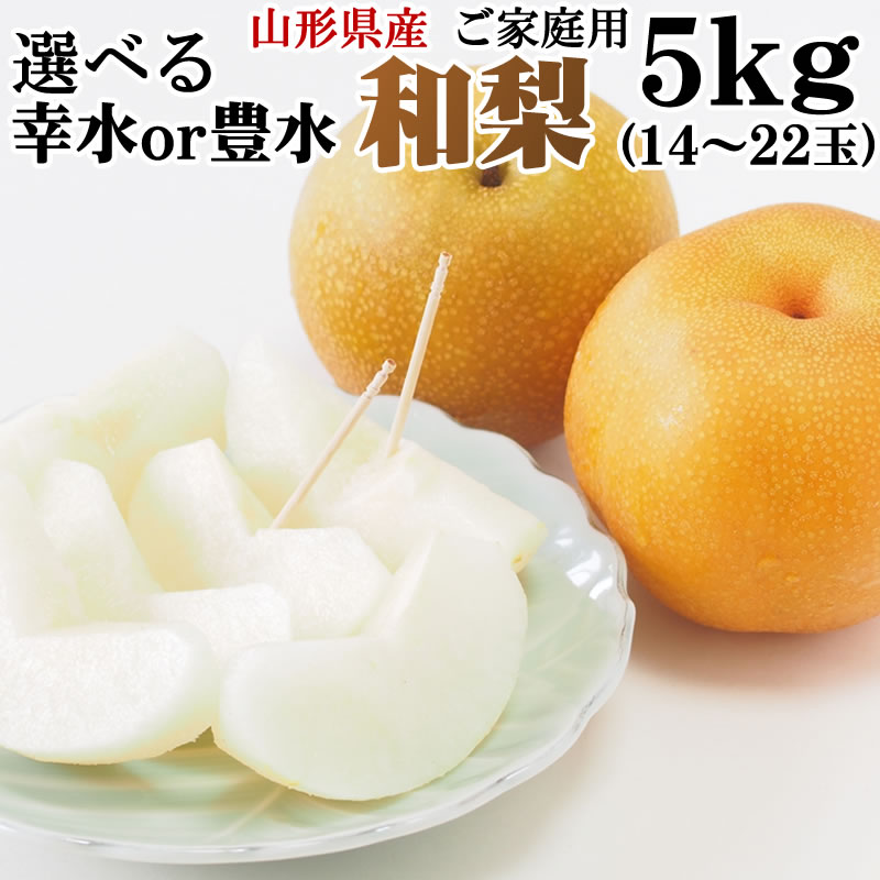 【送料無料】【ご家庭用】【山形県産】選べる 和梨　幸水　豊水　5kg 14〜22玉[和梨5キロ]