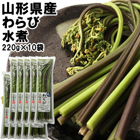 山形県産 [わらび水煮 220g×10袋 2.2kg] 国産 山形県 水煮 わらび 送料無料 山菜 春の山菜 郷土料理 一本漬け