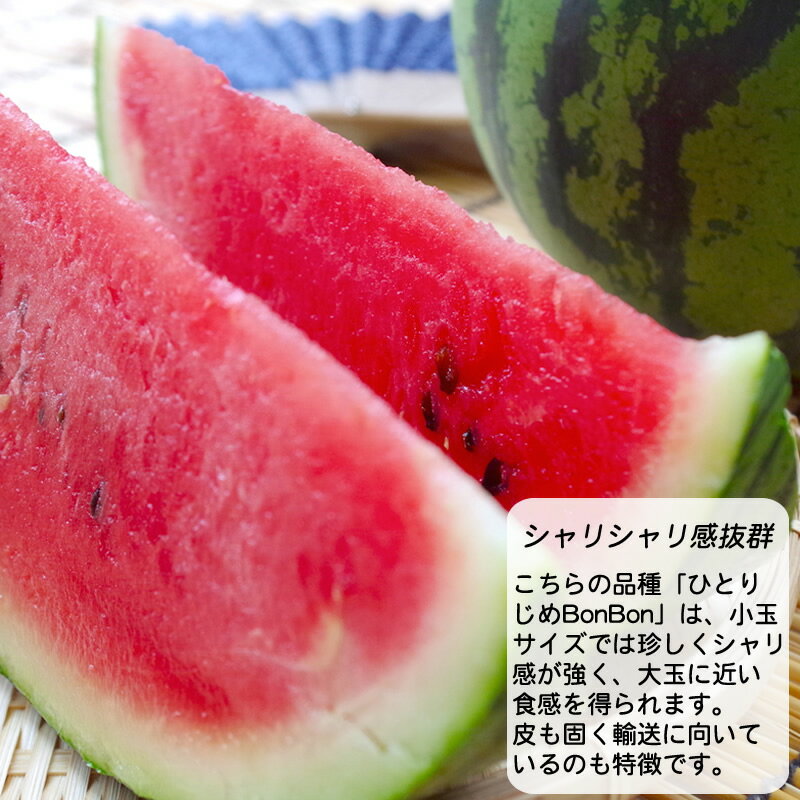 予約販売 朝採り絶品・大玉3L×2玉(合計5〜6kg) 山形県産 黒小玉すいか ひとりじめ ...