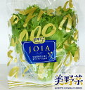 美野菜　低カリウムレタス（約65g×5パック）
