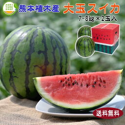 熊本植木産　大玉スイカ　2玉入　|【送料無料　すいか　スイカ　西瓜　名産品　熊本　植木産　美味しい　産地直送　特産品　新鮮】