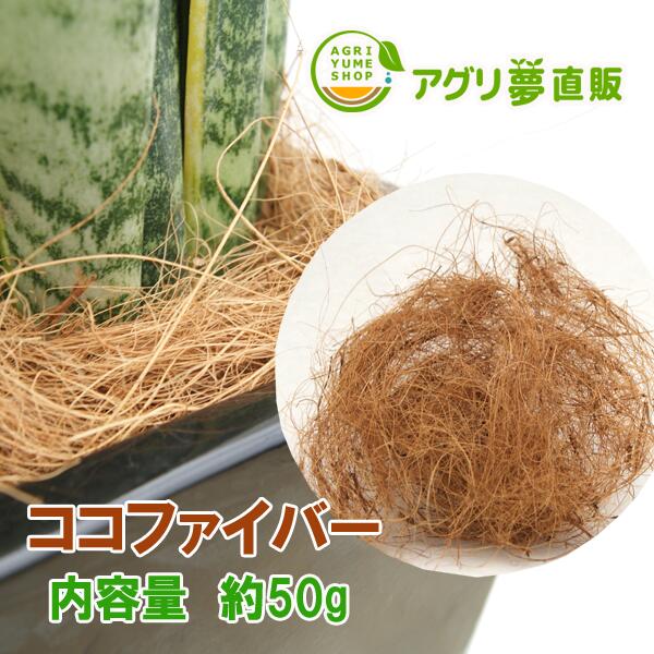 観葉植物専用　ココファイバー