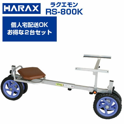  ϥå 饯 RS-800K  ֡2楻åȤǤۡڸĿOKۡOKۡںѲٽ100kg ϩϺ   դ  Ѻ žۡڥΡѥ󥯥ۡۡ֡