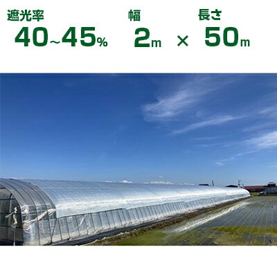 ダイオ化成 遮光ネット クリアグレー ダイオネオシェード清冷 遮光率40〜45% 2m×50m (代引不可) (農業用 植物 畑 庭 育苗 植木 園芸 遮熱 サンシェード トンネル 茄子 人参 ネギ ハウス 日よけ ミニトマト みょうが メロン 野菜 蘭 レタス 露地 牛舎 椎茸 原木 200cm)