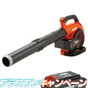 【やまびこエコー】 BPB510/2G+1 充電式ブロワー ブロア 【本体のみ】 【手持ち式】 【50V】 【2Pバッテリー2個 充電器付き】 【プラスワンキャ...