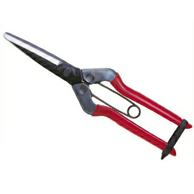 近正/チカマサ 青果鋏 T-700（BP）[収穫鋏 収穫はさみ 玉ねぎ 野菜 果物 農作業 園芸 プロ 日本製 バネ..