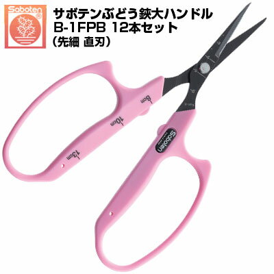 (送料無料でお得！)(12本セット) ぶどう鋏 サボテン 直刃大ハンドル NO.B-1FPB【サボテン ぶどう鋏 摘粒 房作り 収穫 目盛付き ピンク色 ステンレス フッ素樹脂加工 先細 面取り加工 大ハンドル 衝撃吸収 ぶどう農家】
