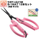 (送料無料でお得!)(12本セット) ぶどう鋏 サボテン そり刃 NO.B-1MAT 磁力で自動で開く鋏【サボテン ぶどうはさみ 摘粒 房作り 収穫 目盛付き ...