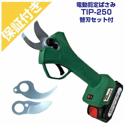 ڥץߥݾդۥ󥻥 ż ڤФ TIP-250 ؿϥå