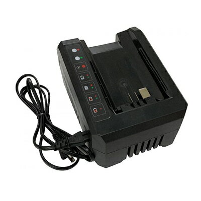 （アイデック） TPCH5602 充電器 （elexシリーズ専用）