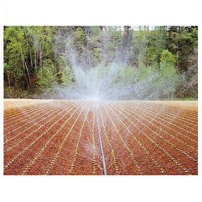 住化農業資材 スミレイン 50 100m巻 潅水チューブ 灌水チューブ