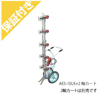 ڥץߥݾդ ͭ ťΥ AES-10LK