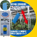 ホリバー 【誘引 粘着板】 ホリバーブルー 10枚 青 害虫モニタリング ヒラズハナアザミウマ ミナミキイロアザミウマ ミカンキイロアザミウマ トラップ