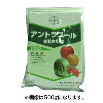 【農薬】 アントラコール 顆粒水和剤 1kg 【園芸用 殺菌剤】