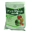 【農薬】 アントラコール顆粒水和剤 500g 【園芸用 殺菌剤】