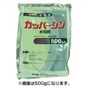 【農薬】 カッパーシン水和剤 100g 【園芸用 殺菌剤】