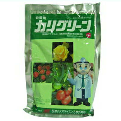 【農薬】カリグリーン水溶剤 250g【園芸用 殺菌剤】