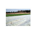岩谷 イワタニ 不織布 NEW アイホッカ #18 300cm X 200m 5本入 高保温性農業用不織布 生育促進 防霜 防虫 防鳥 べたかけ トンネル